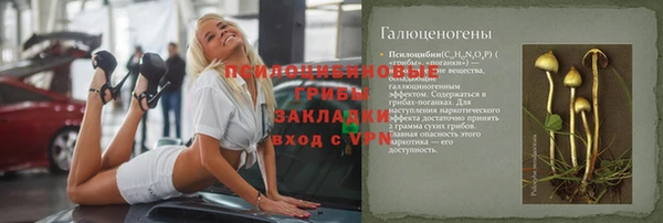 спайс Касимов