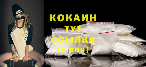 гидра Киренск