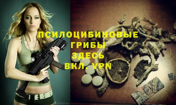 а пвп мука Карпинск
