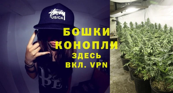 ALPHA PVP Кинешма