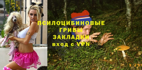 ALPHA PVP Кинешма