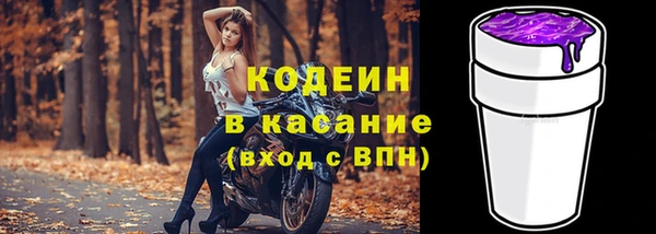 гидра Киренск