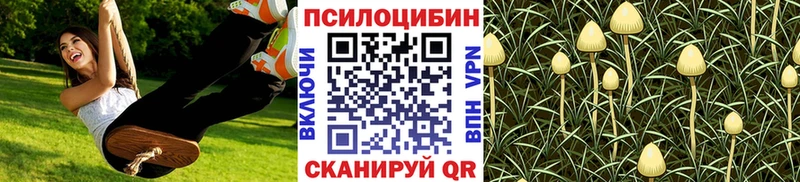 Галлюциногенные грибы Psilocybine cubensis  Купить закладки  Далматово 